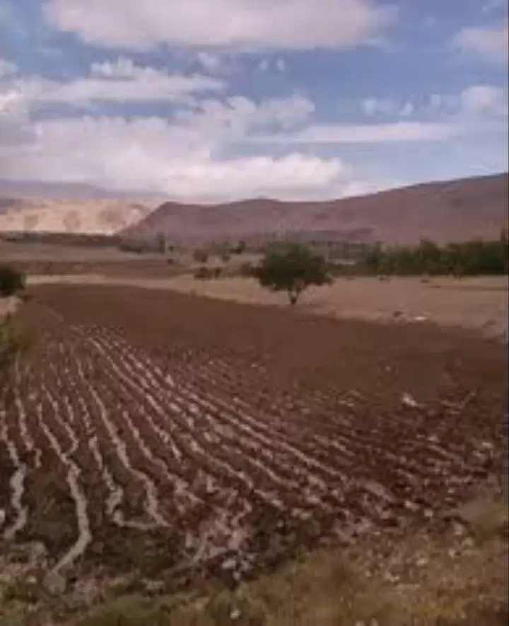 زمین کشاورزی در جاده سمیرم حنا رودخانه جنگباده