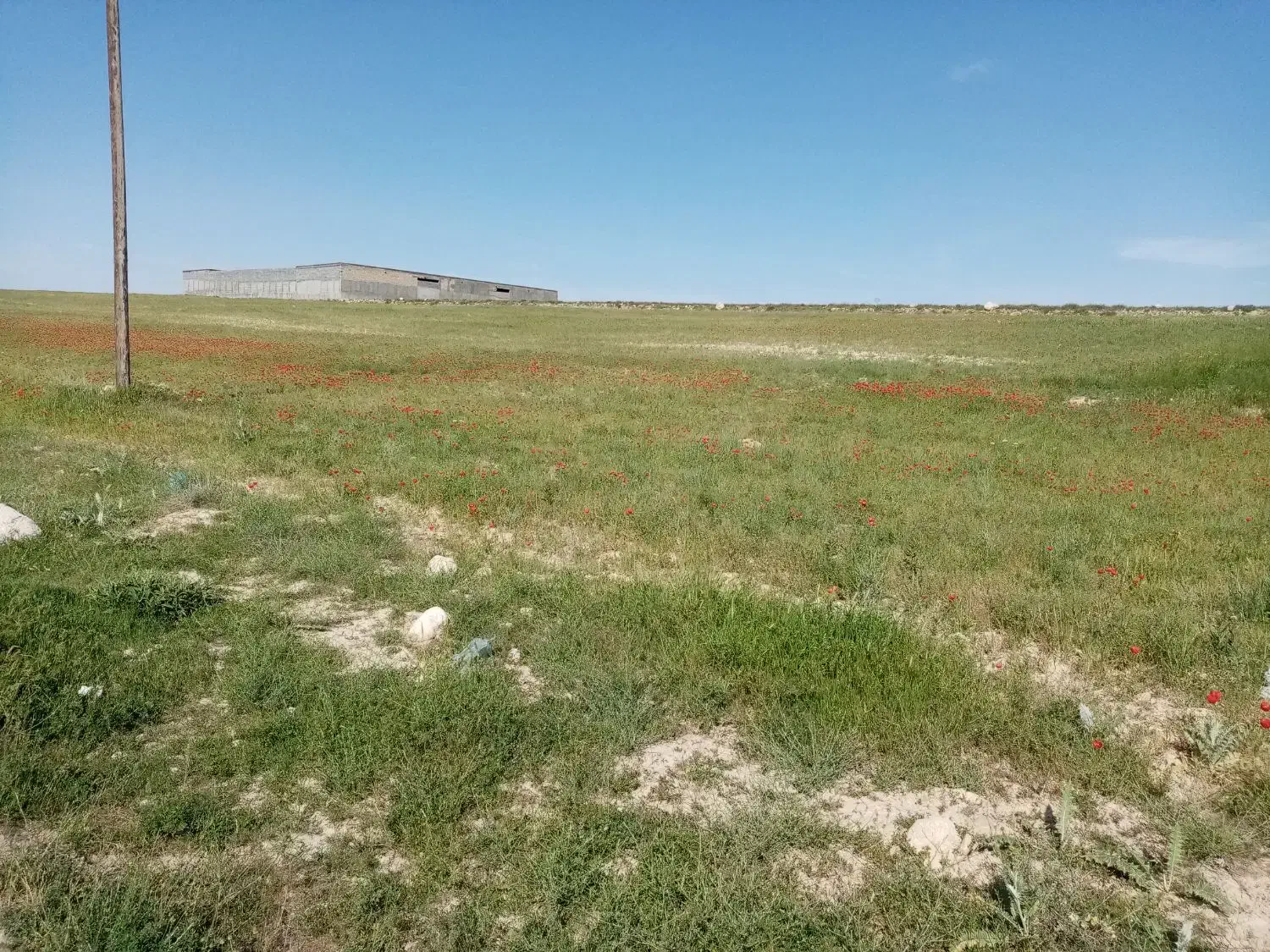 رهن و اجاره