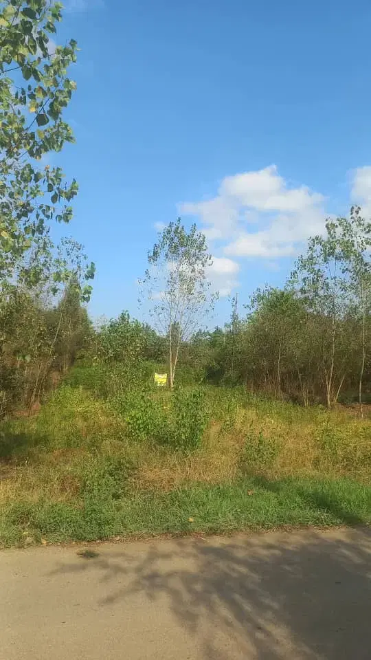 زمین ۲۶۰ متری طرح هادی (تبدیل به مسکونی)