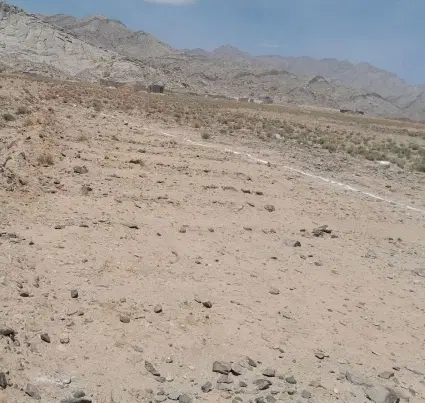 زمین لوچو