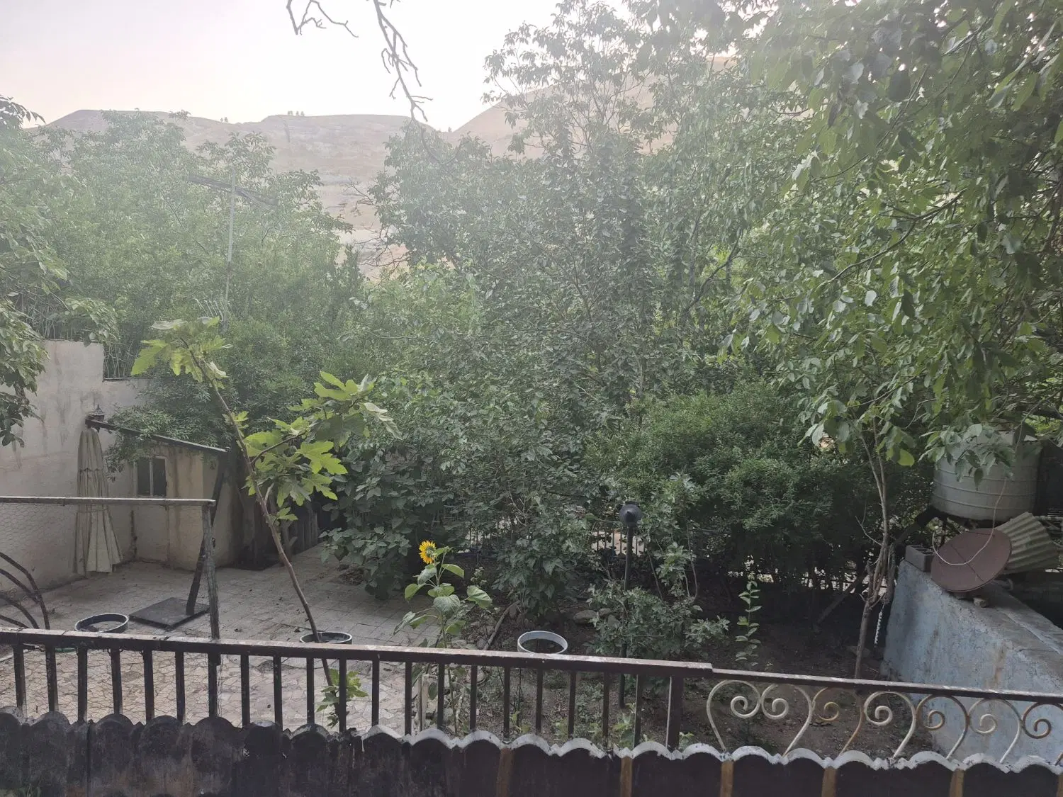 فروش باغ(کلبه چوبی )کنار رودخانه کن فوری