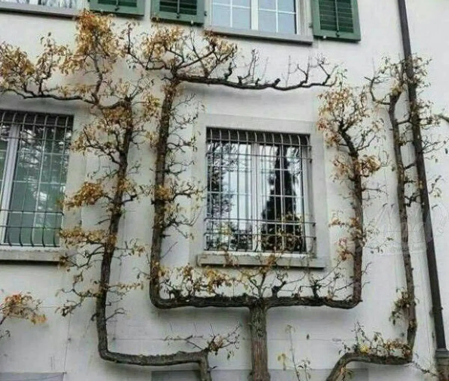 منزل اجاره ایی کریمپور ۹