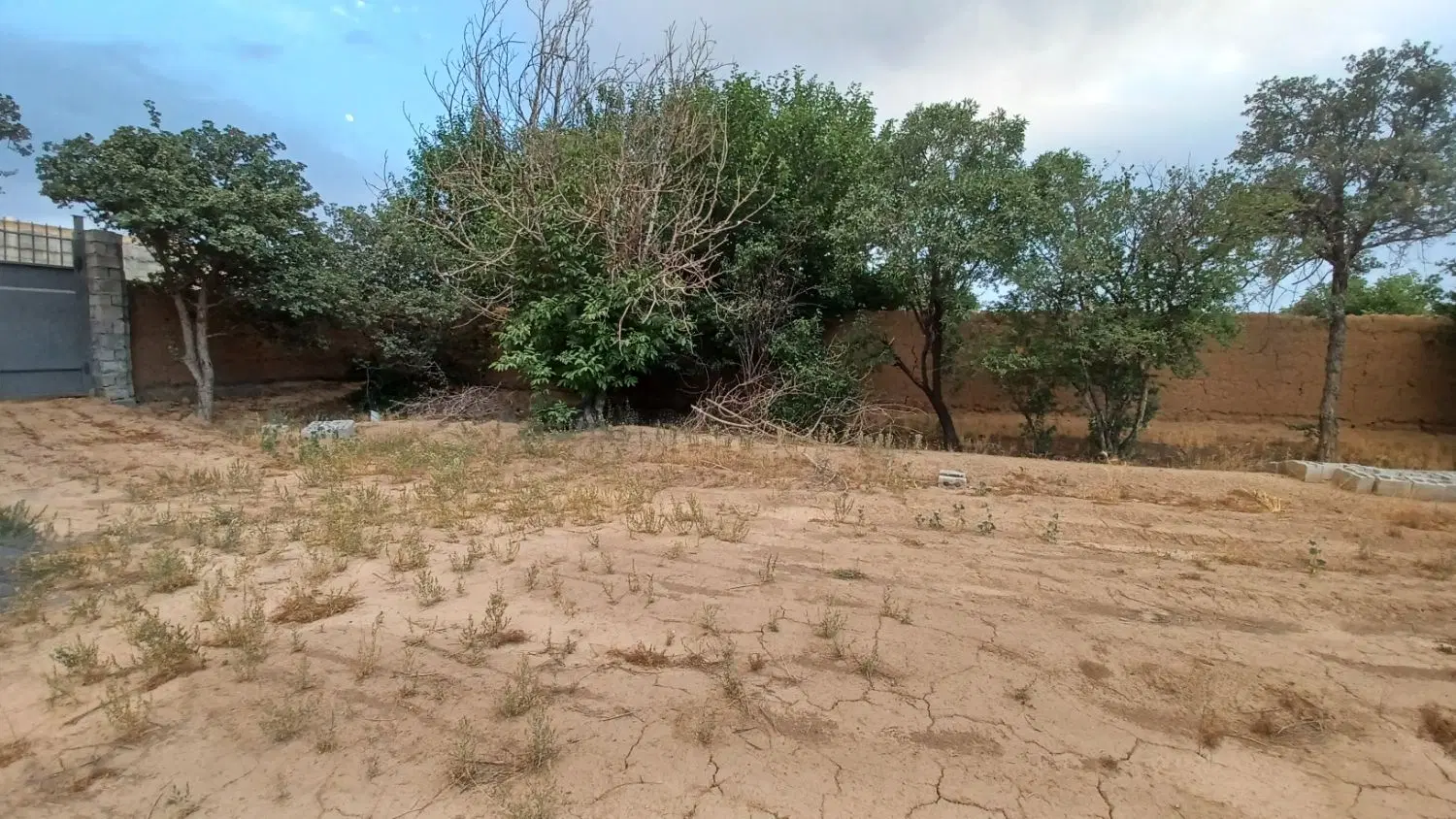 زمین خونه‌باغی