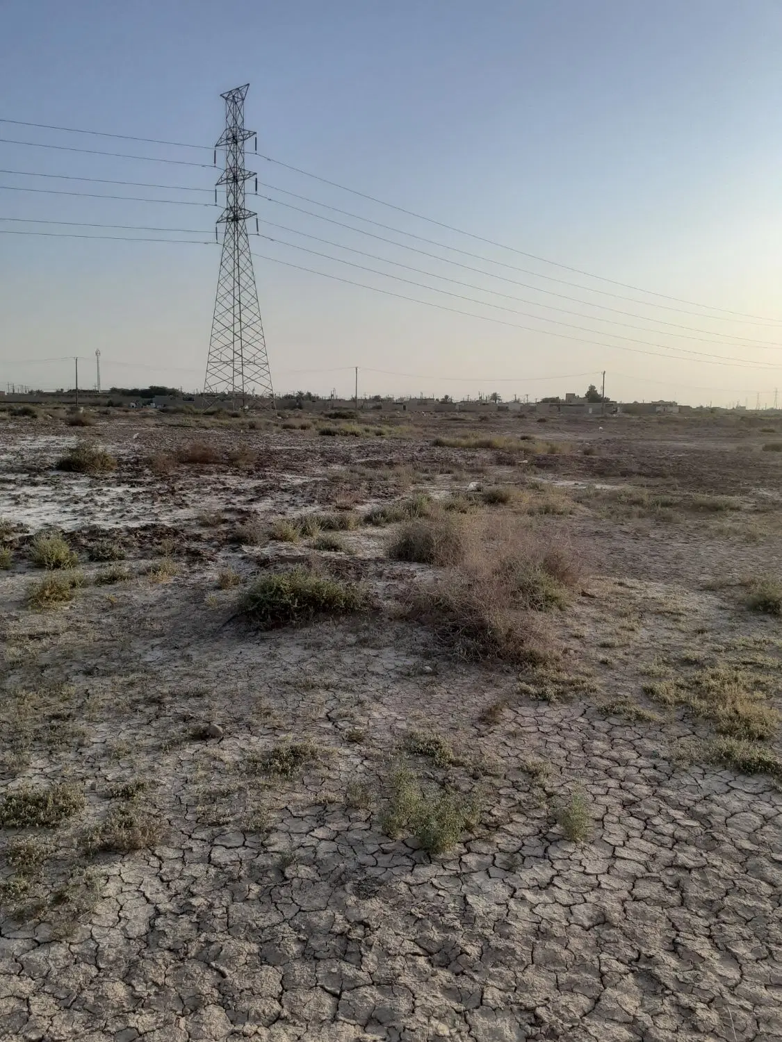 زمین روستای ام التلول