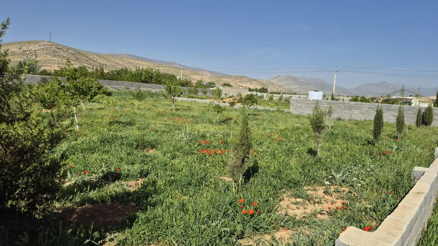 باغ شهری شیراز