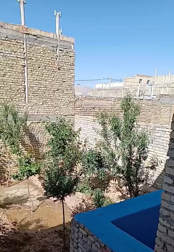 ملک نصراباد،باغ ویلا،سند شش دانگ