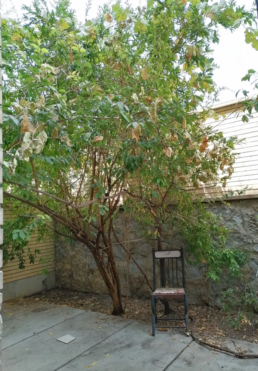 آپارتمان اجاره ای
