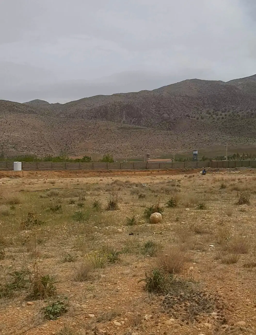 گلخانه