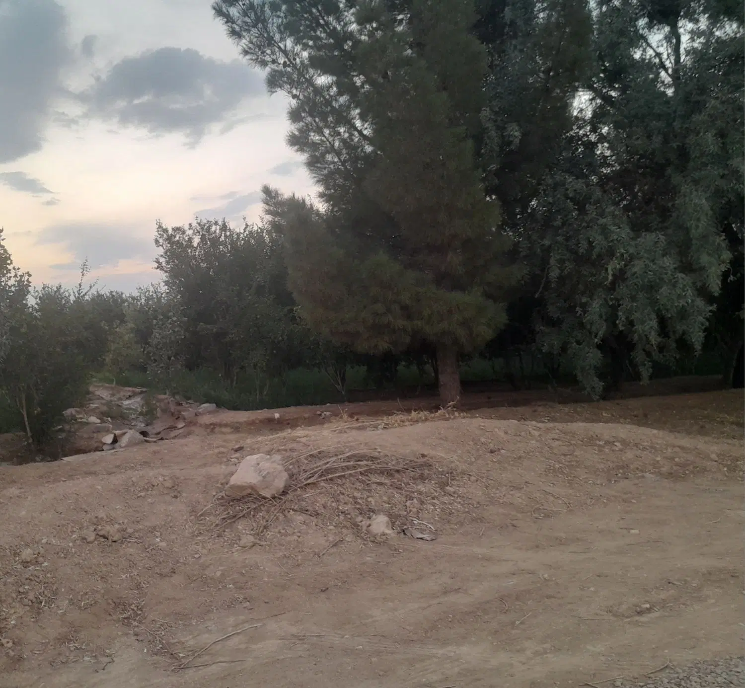 فروش زمین کشاورزی کمشچه