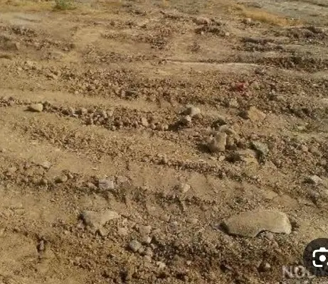 زمین ۵۰۰ متری بلوار صادق آباد به قیمت کارشناسی