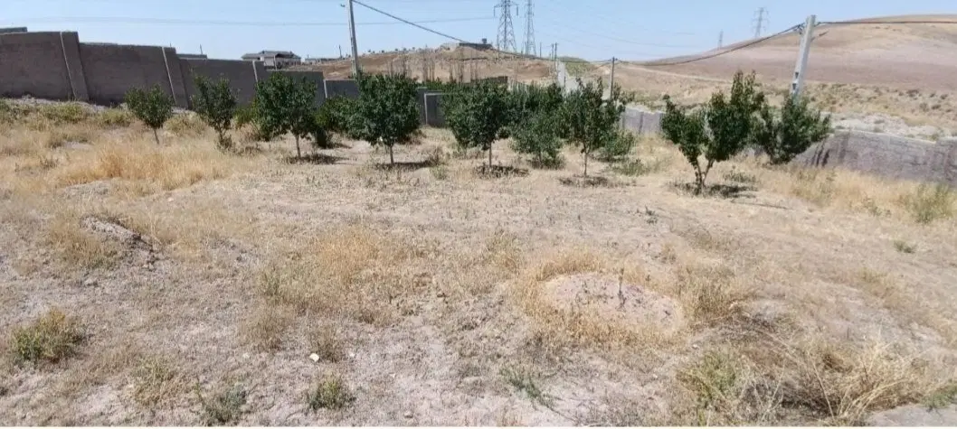 زمین باغ ویلایی