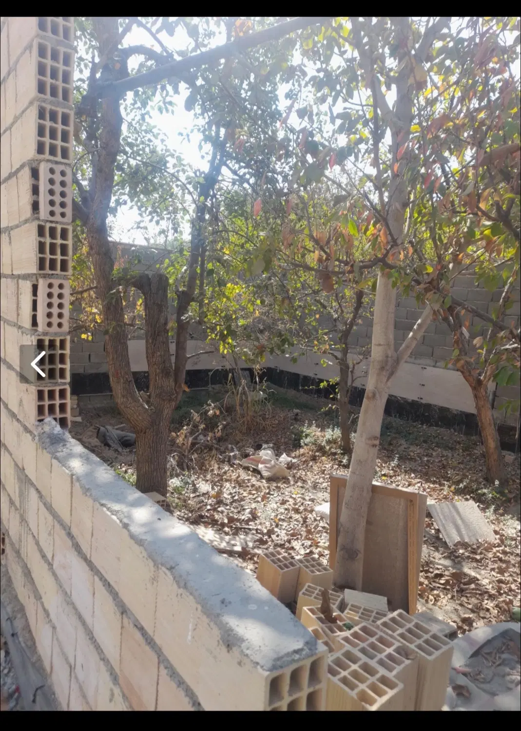 ۴۸۶متر باغ