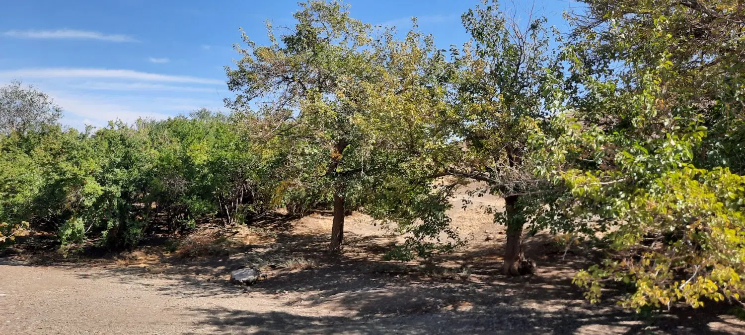 190 متر زمین قابل ساخت در 2 طبقه روستای اندیس