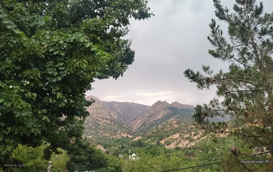 ویلا_۲خواب_سعدی