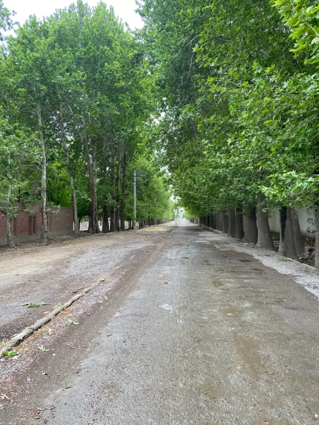 باغ ۱۲۵۰متر سند ششدانگ چهار دیوار کردزار کاسبی