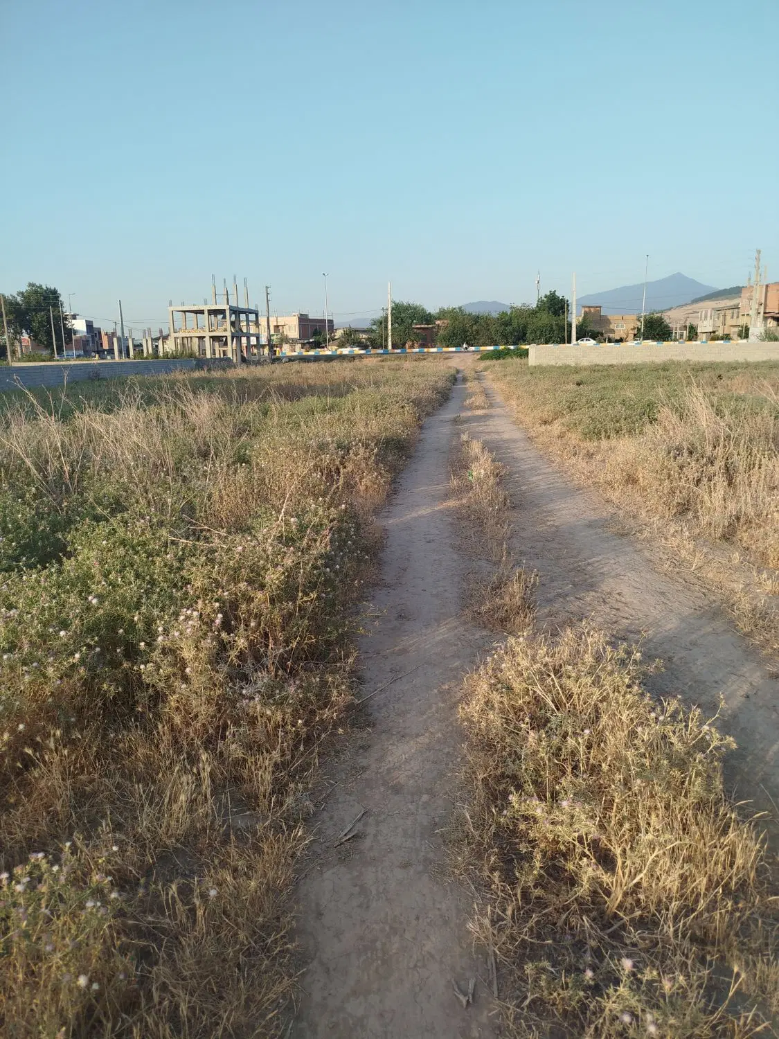 زمین مسکونی