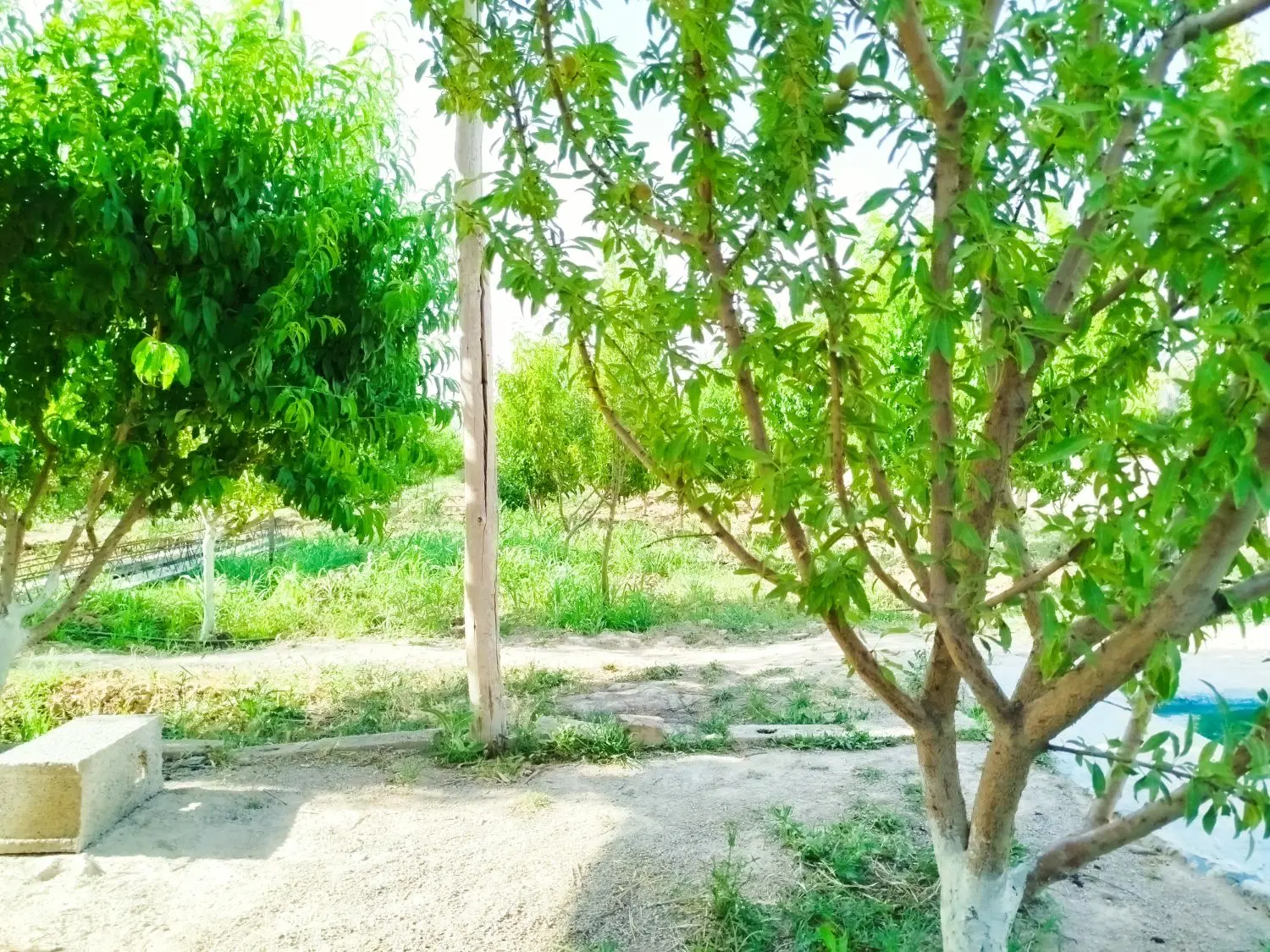باغ باغچه ویلا