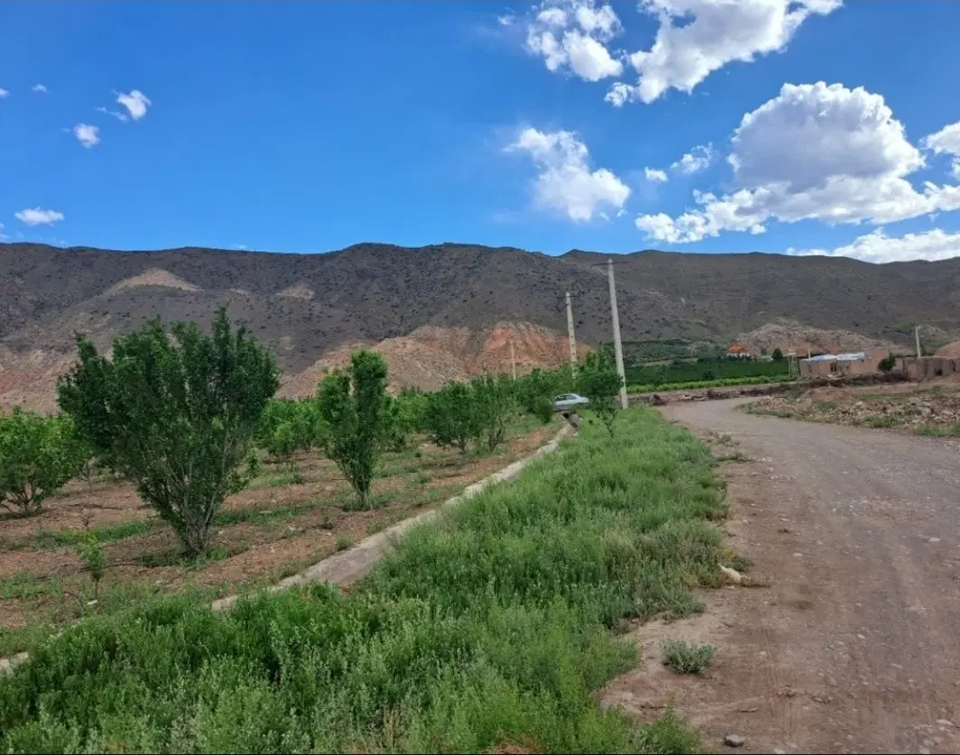 زمین چسبیده به مسگونی