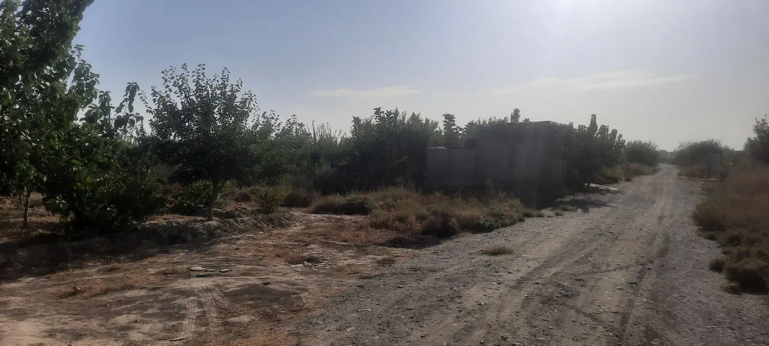 زمین باغی