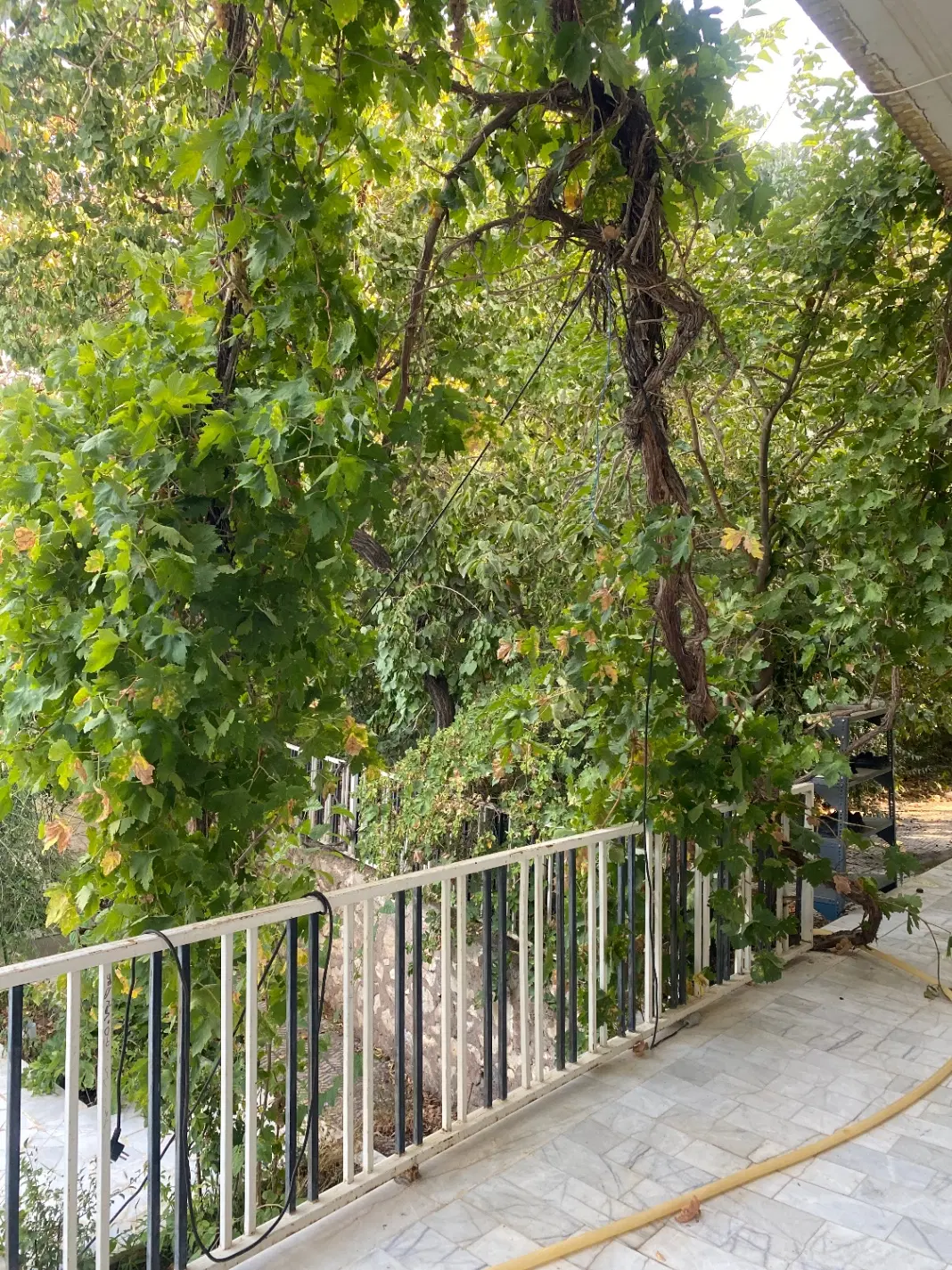 فروش زمین