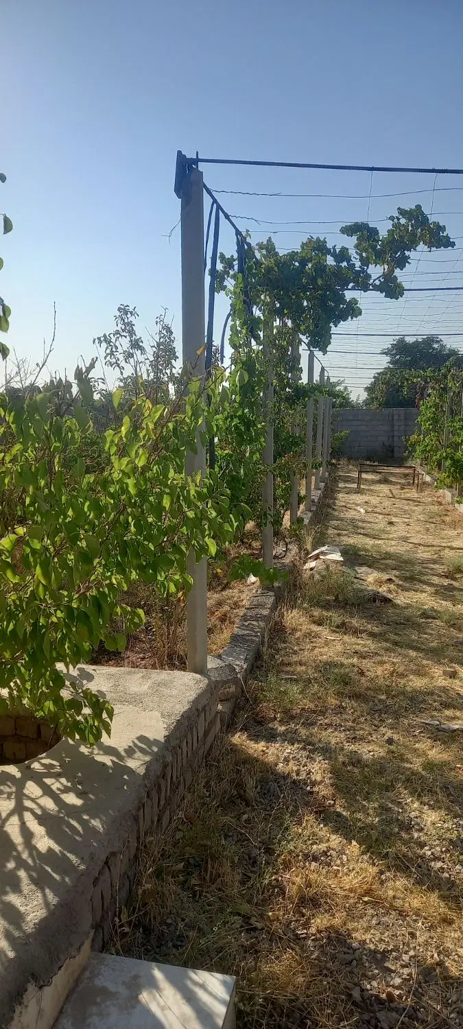 باغ نزدیک اتوبان