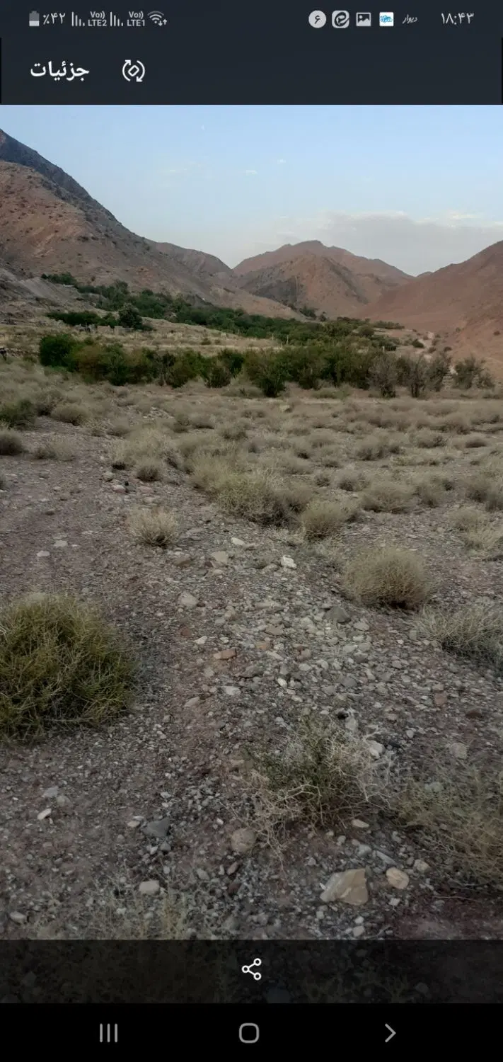 باغ ششدانگی