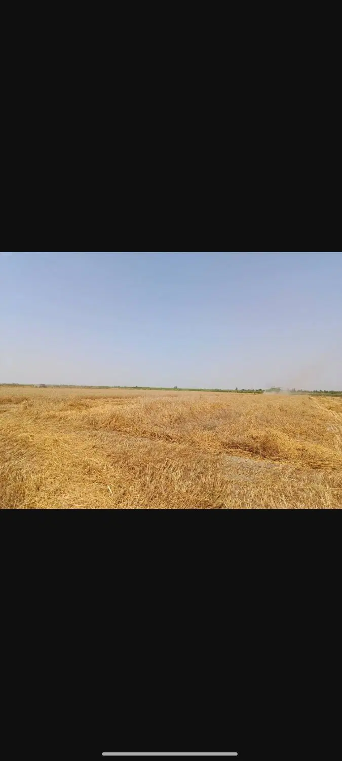 زمین ۶۵۰۰ متری سلطان آباد