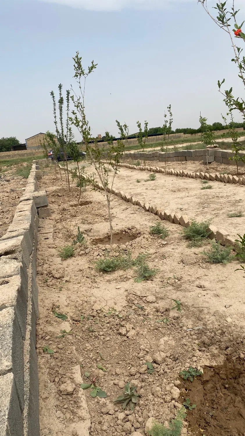 زمین مناسب باغچه ۳۰۰ متر