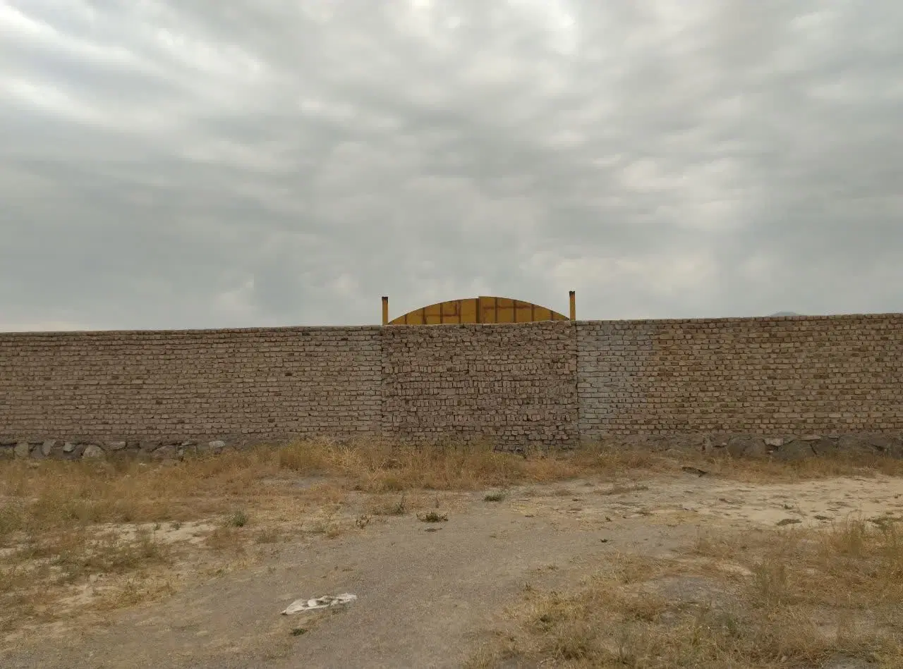 دامداری