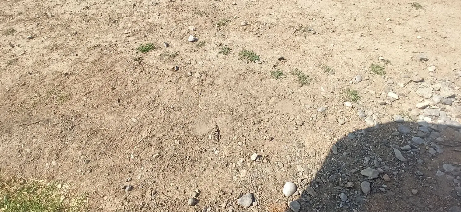 زمین قلعه کهنه