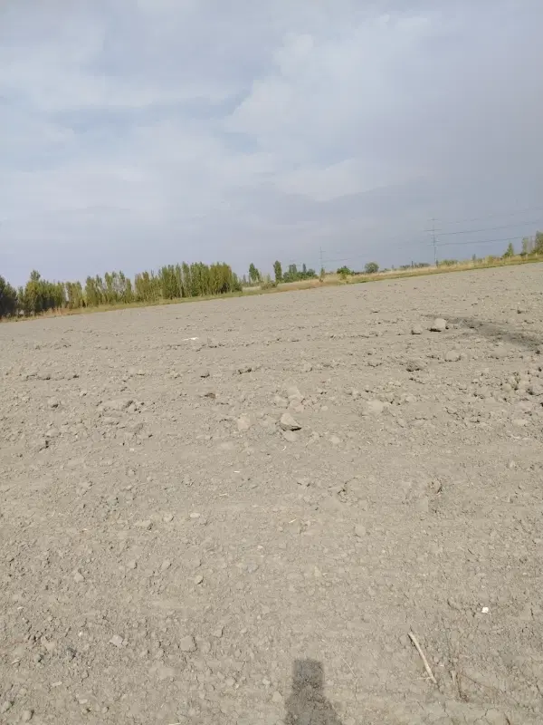 زمین زراعی با برق و شناور عیسی لوی ذمی