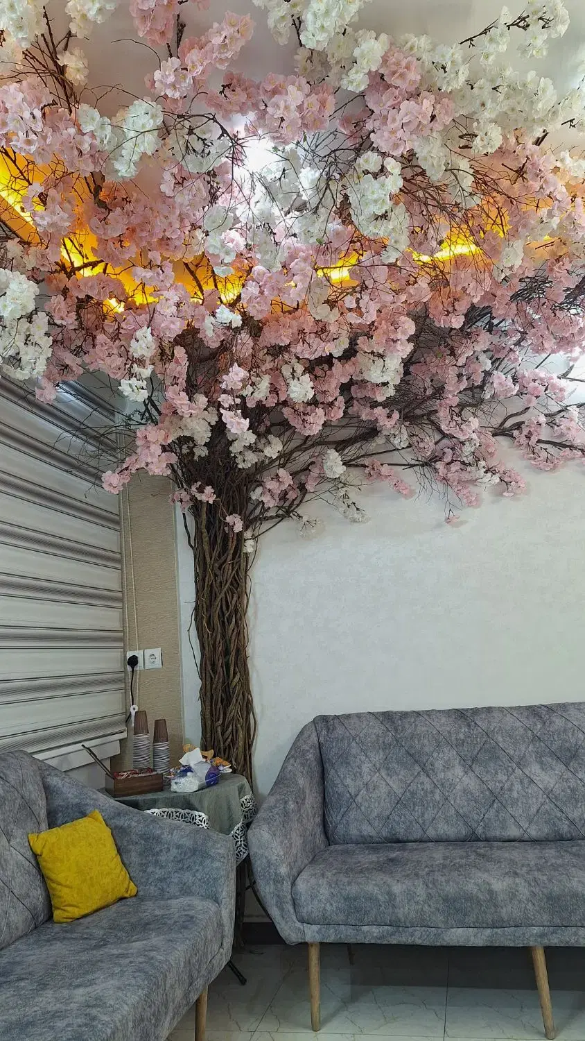 اجاره اتاق در کلینیک زیبایی فقط برا شیفت صبح