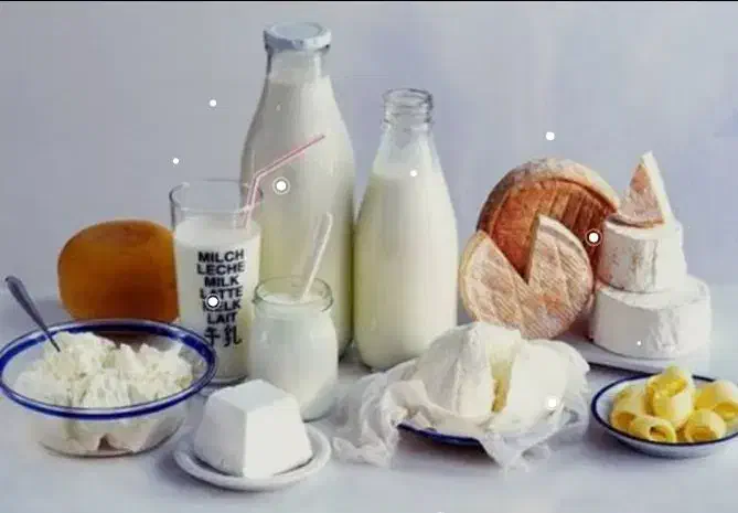 شراکت لبنیات سنتی شعبه۴