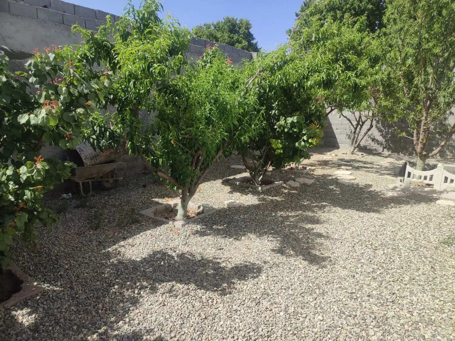 باغو باغچه