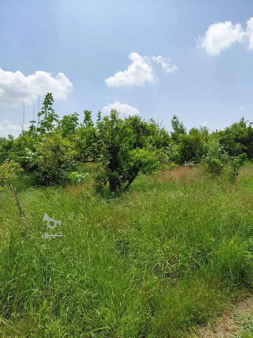 فروش زمین باغی ( بشرط مسکونی)