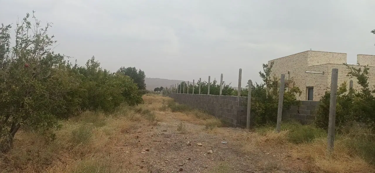 ۲۰۰۰متر باغ انار سید قلی