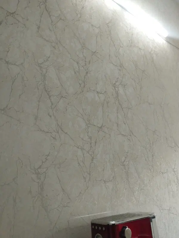 هم خونه خانم