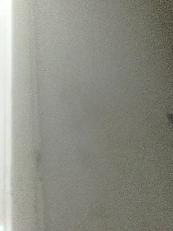 اجاره مغازه