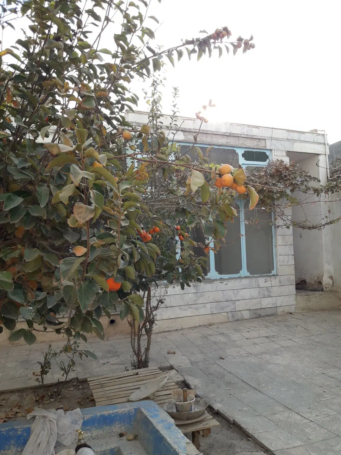 خانه ویلایی قدیمی
