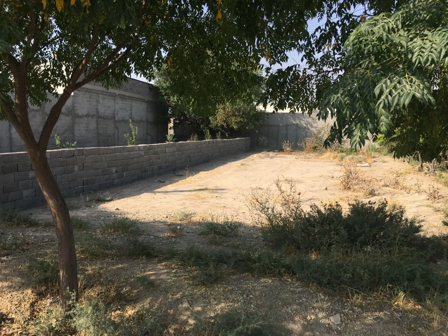 زمین به متراژ ۳۳۰متر
