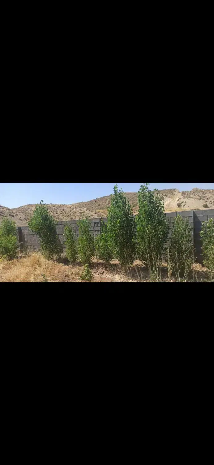 باغ شهری