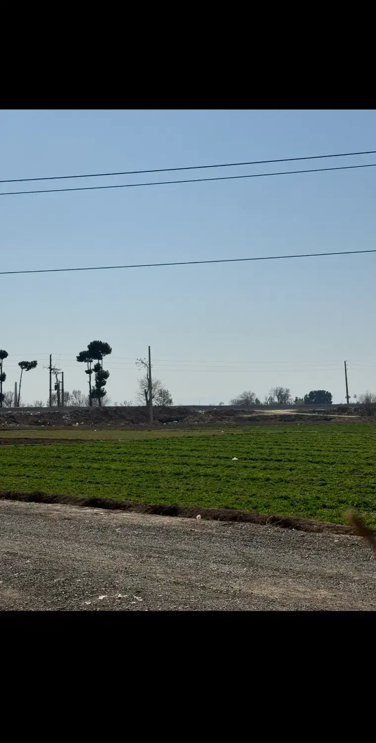 زمین
