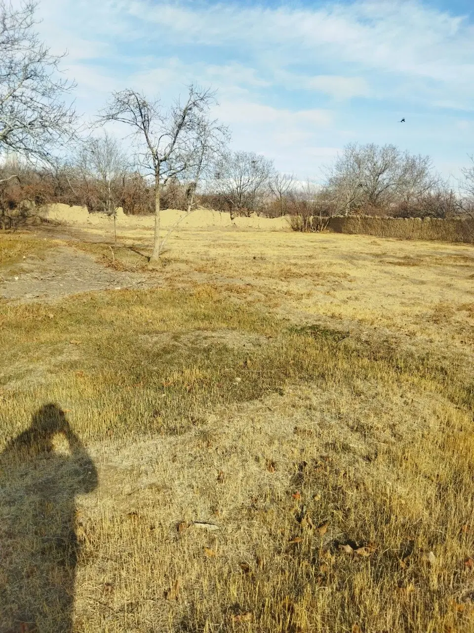یک باغ بزرگ با متراژ ۱۳۵۰ متر واقع در روستای خیج