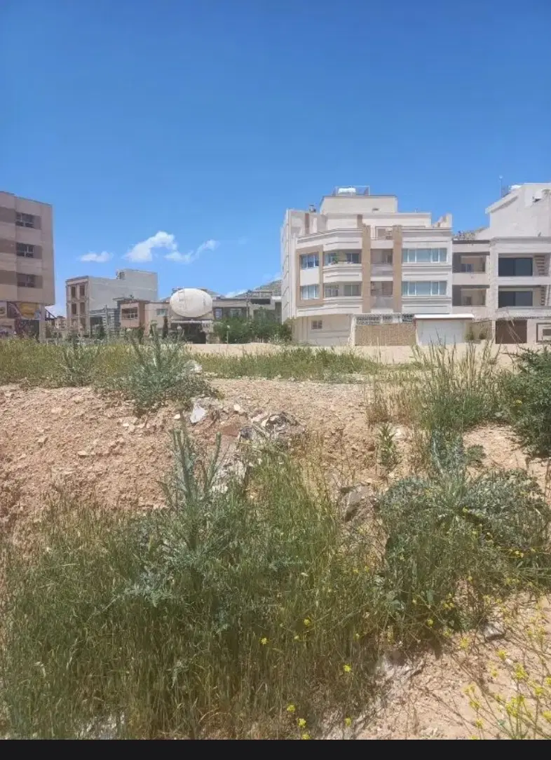 زمین فاز دو سند تک برگ با پروانه