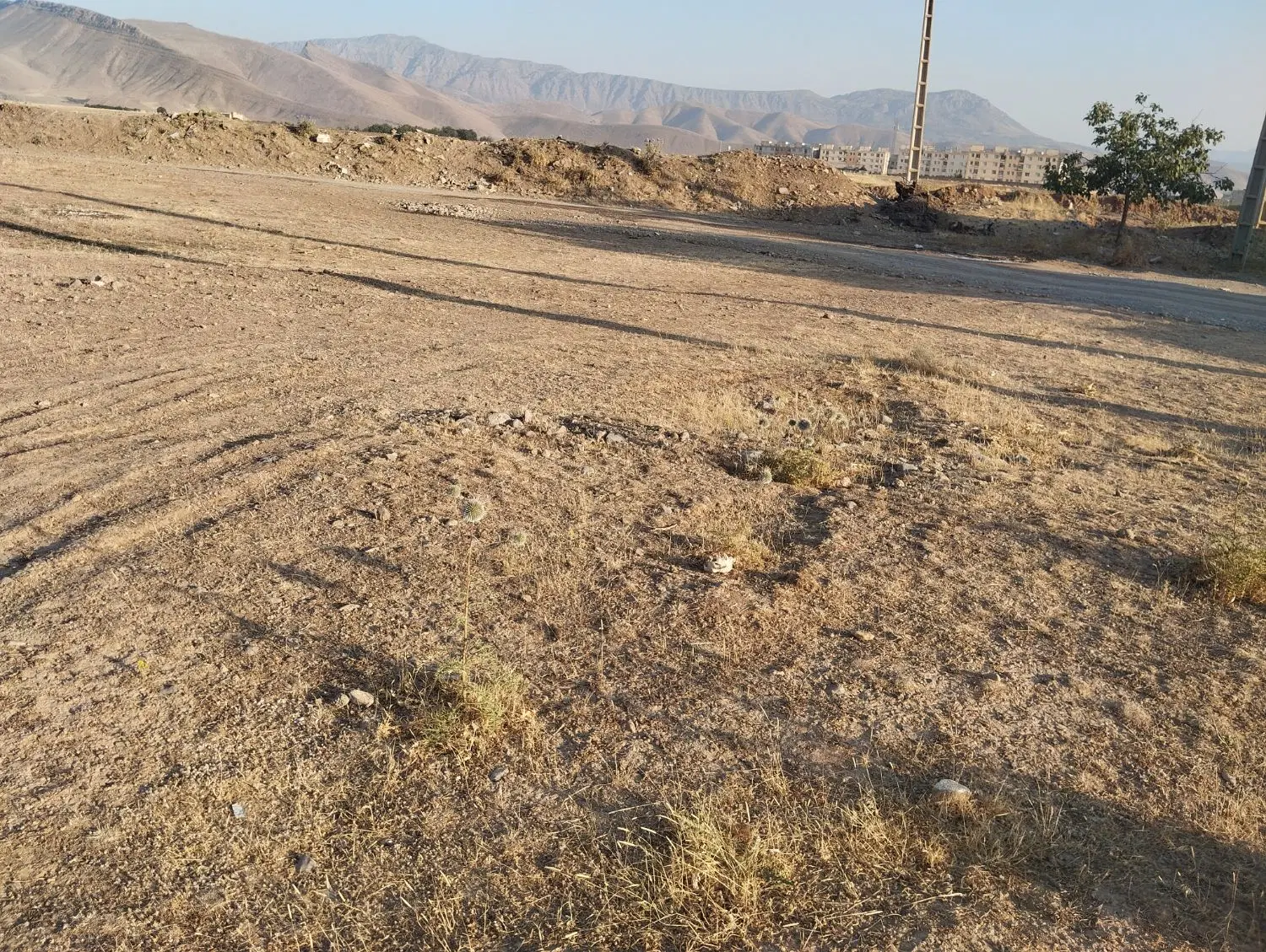 زمین