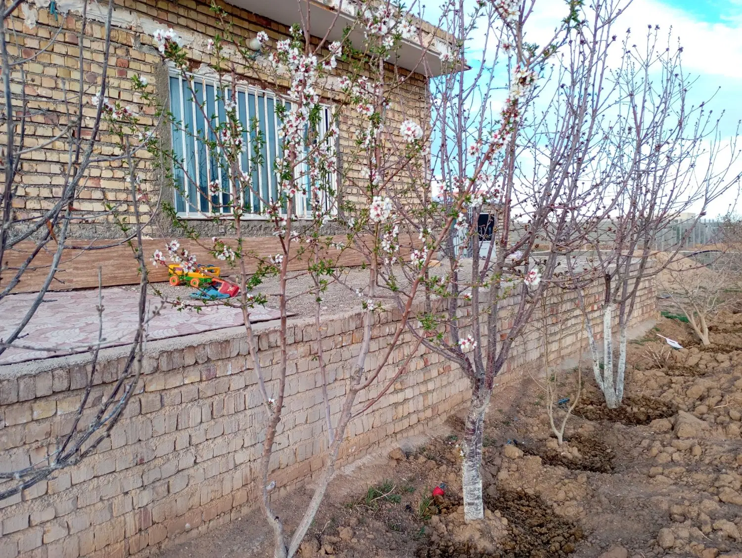 فروش باغچه