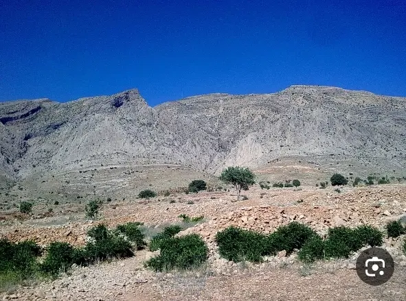 فروش زمین
