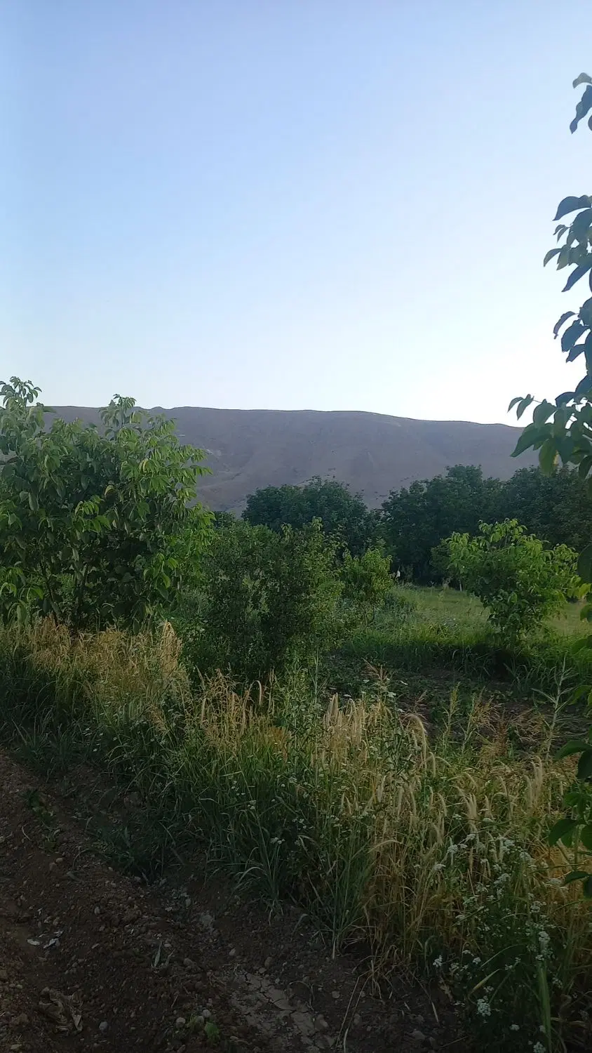 باغ ویلا ۱۰۰۰متری