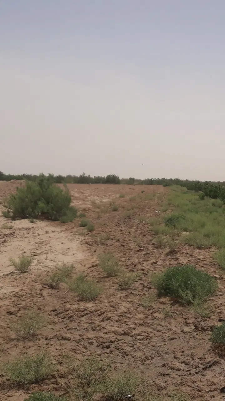 فروش زمین زراعی