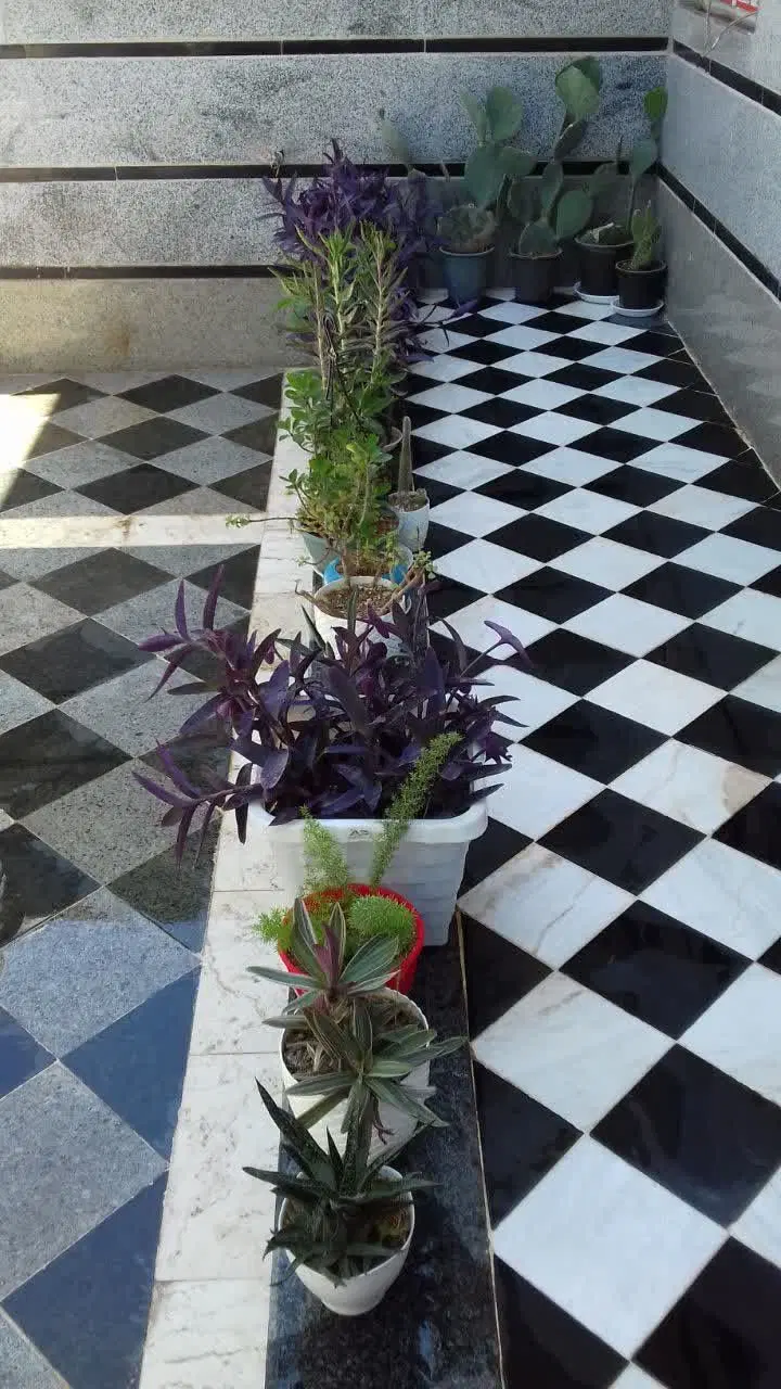 خانه دربست ویلایی